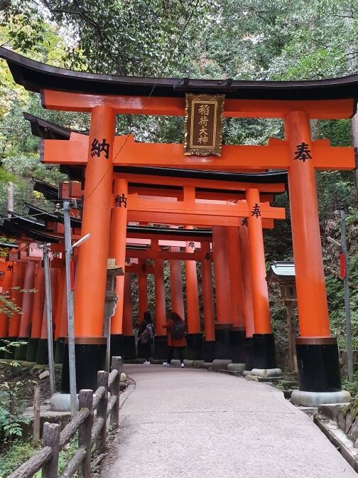 Torii-portar i Kyoto - ingången till jinja, där kami finns